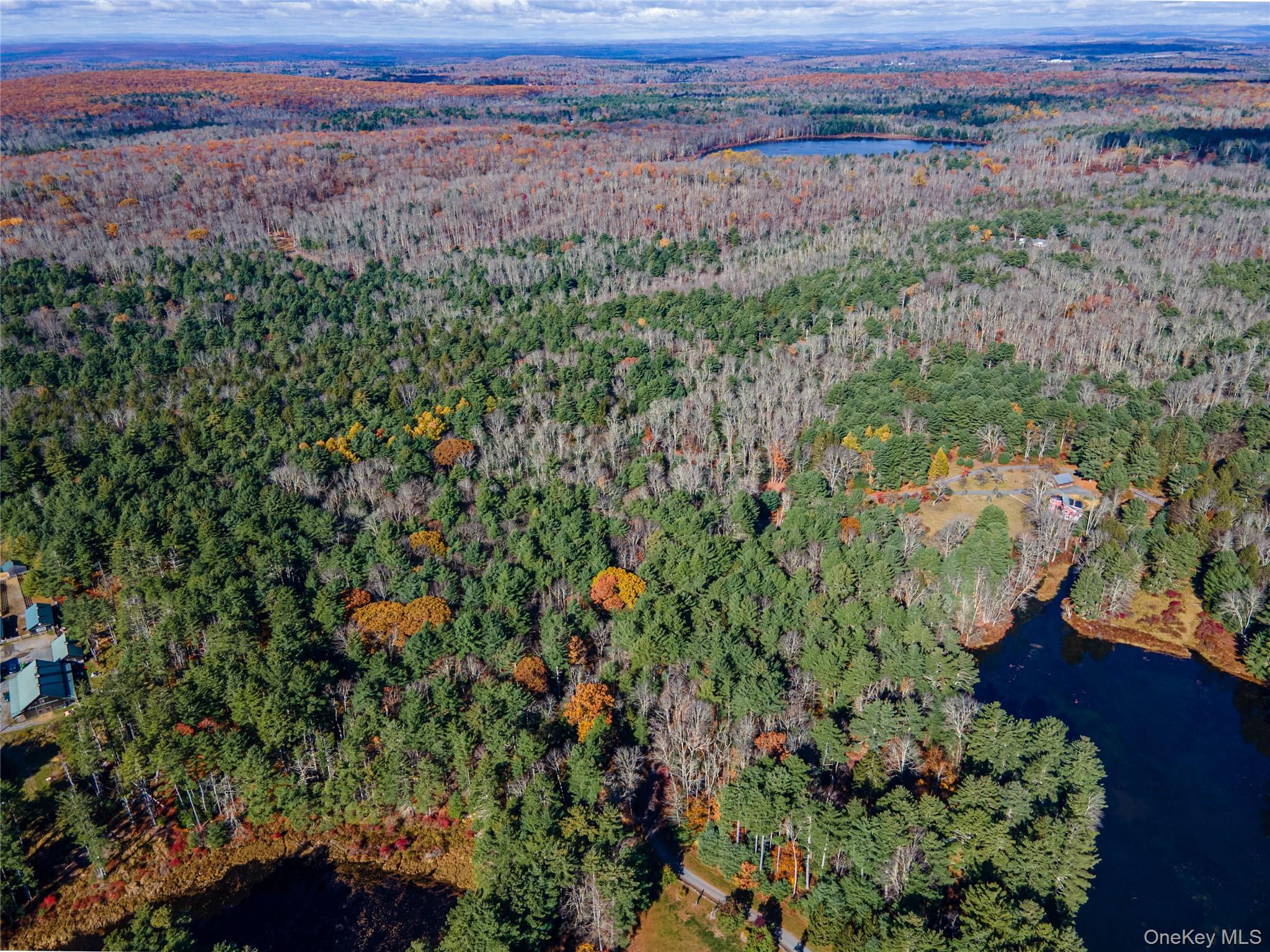 a view of a lush green field with a mountain in the background
