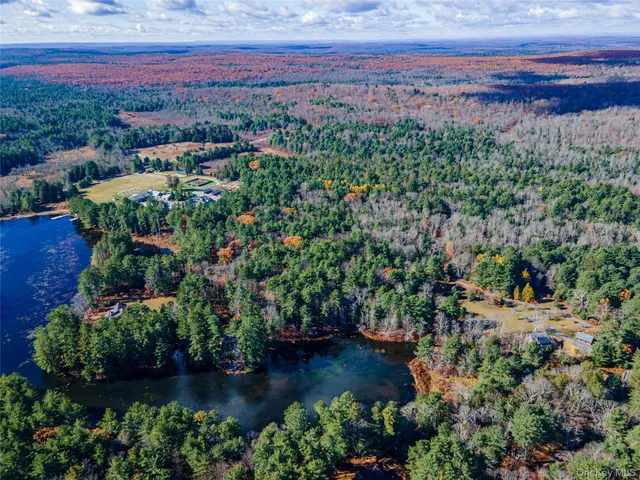 an aerial view of a residential houses with outdoor space and trees all around