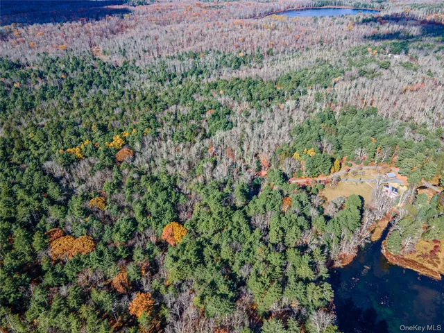 a view of a city with a mountain