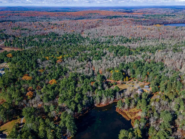 a view of a green field with lots of bushes