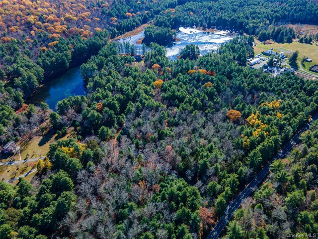 a picture of flowers