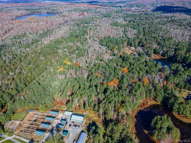 a view of a plants with a yard