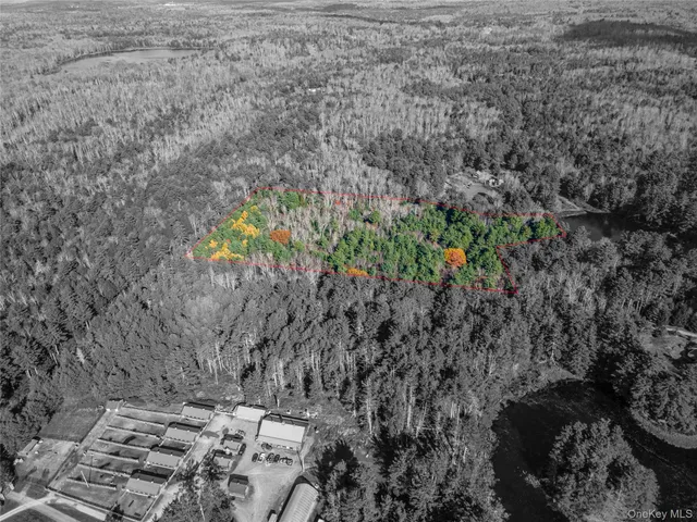 an aerial view of residential houses with outdoor space and trees