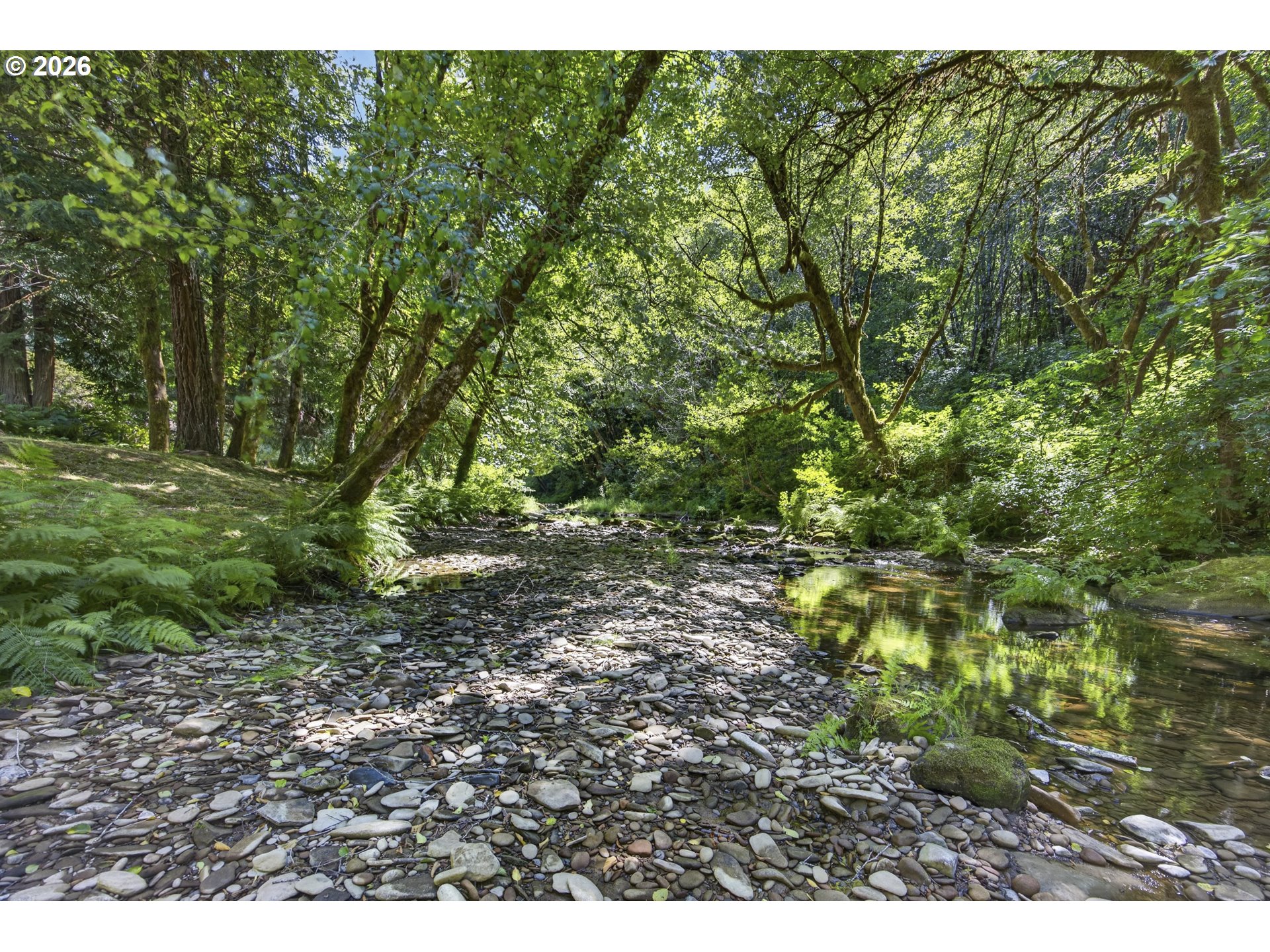 12290 Highway 126 Mapleton, OR 97453 - Photo 40 of 43 Creek