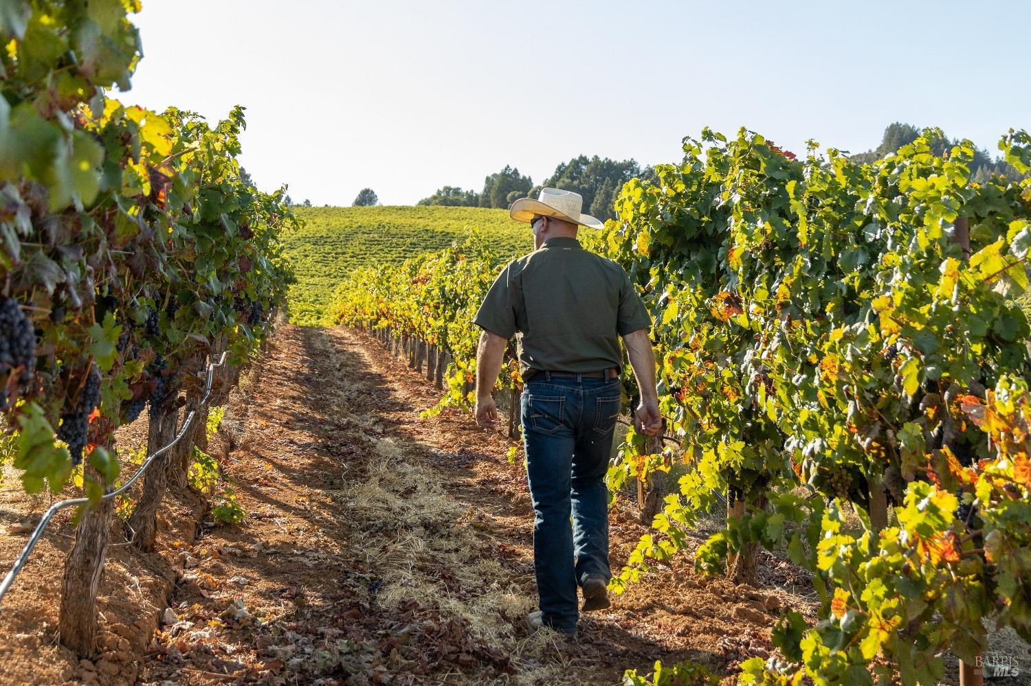 13700 Rockpile Road Geyserville, CA 95441 - Photo 19 of 64