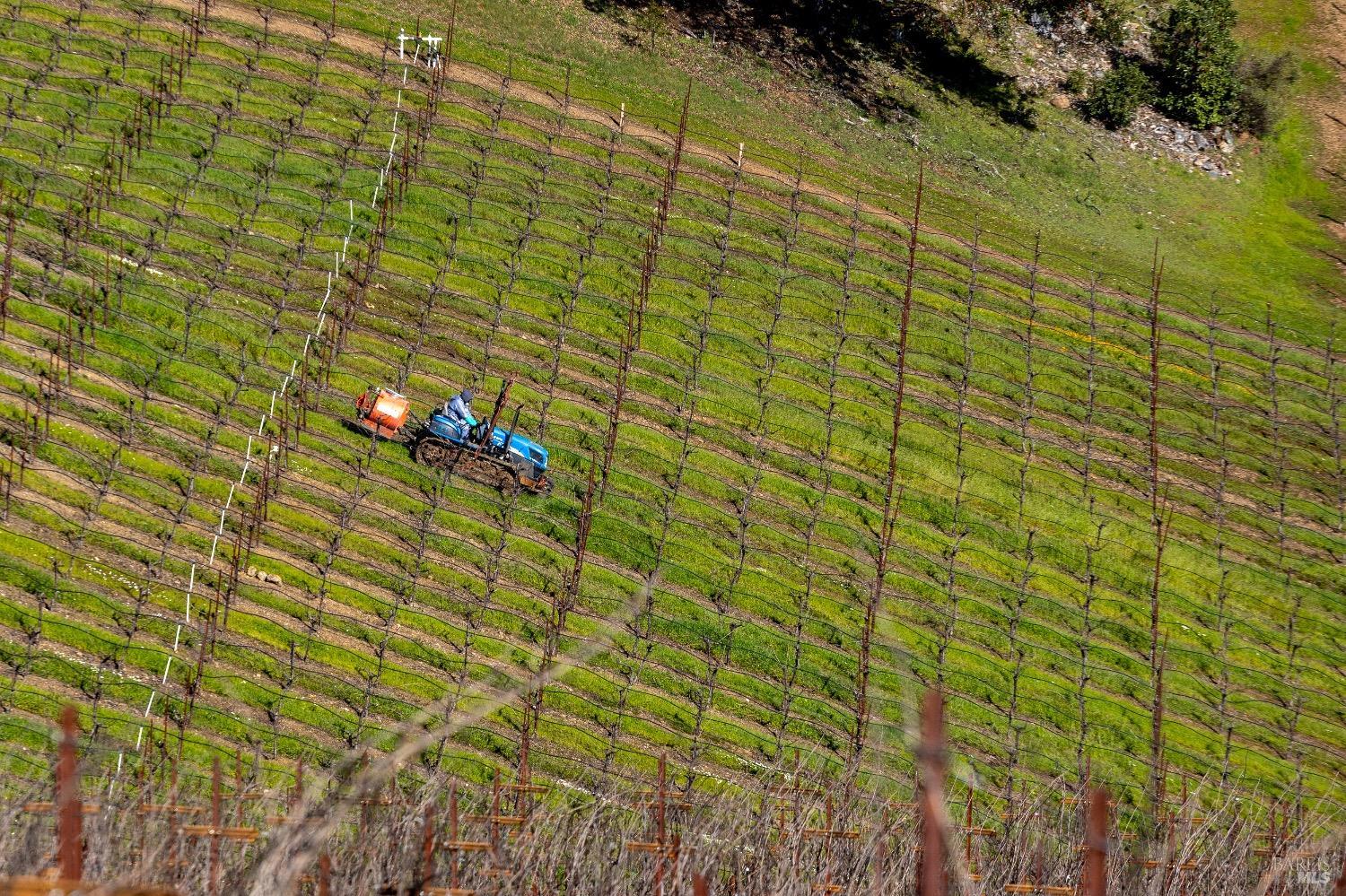 13700 Rockpile Road Geyserville, CA 95441 - Photo 24 of 64 a bathroom with a sink and a shower