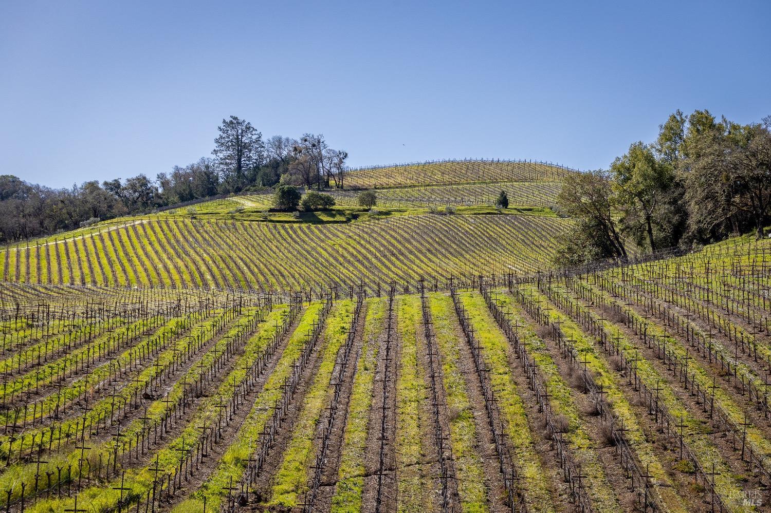 13700 Rockpile Road Geyserville, CA 95441 - Photo 28 of 64 a view of swimming pool