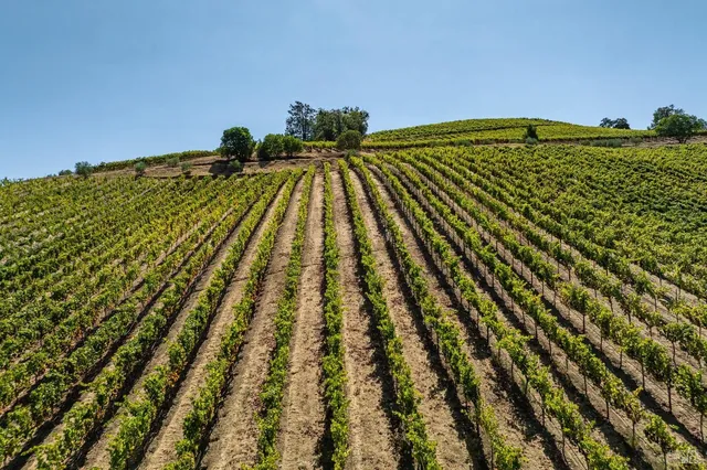 $11,900,000 | 13700 Rockpile Road, Geyserville, CA 95441