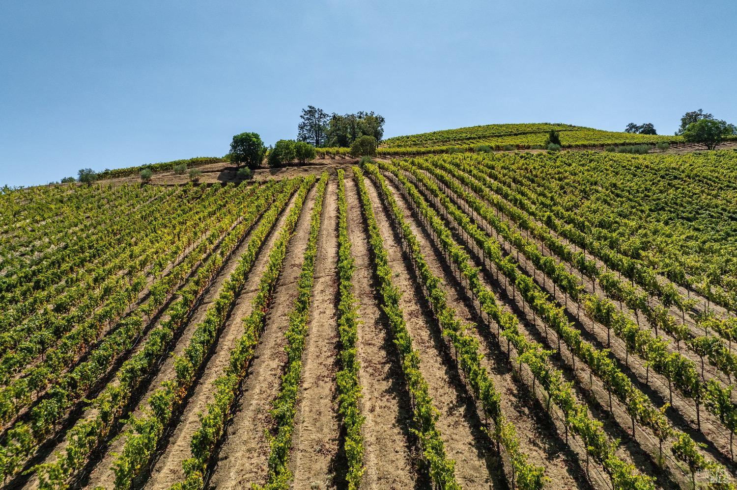 13700 Rockpile Road Geyserville, CA 95441 - Photo 7 of 64