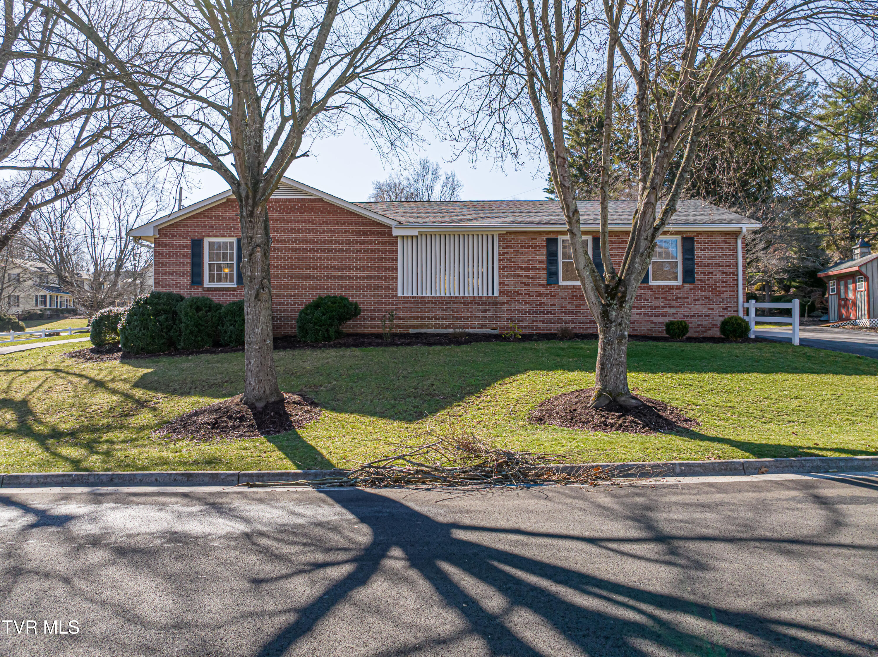 595 Court Street Northeast Abingdon, VA 24210 - Photo 5 of 46 Mature Trees