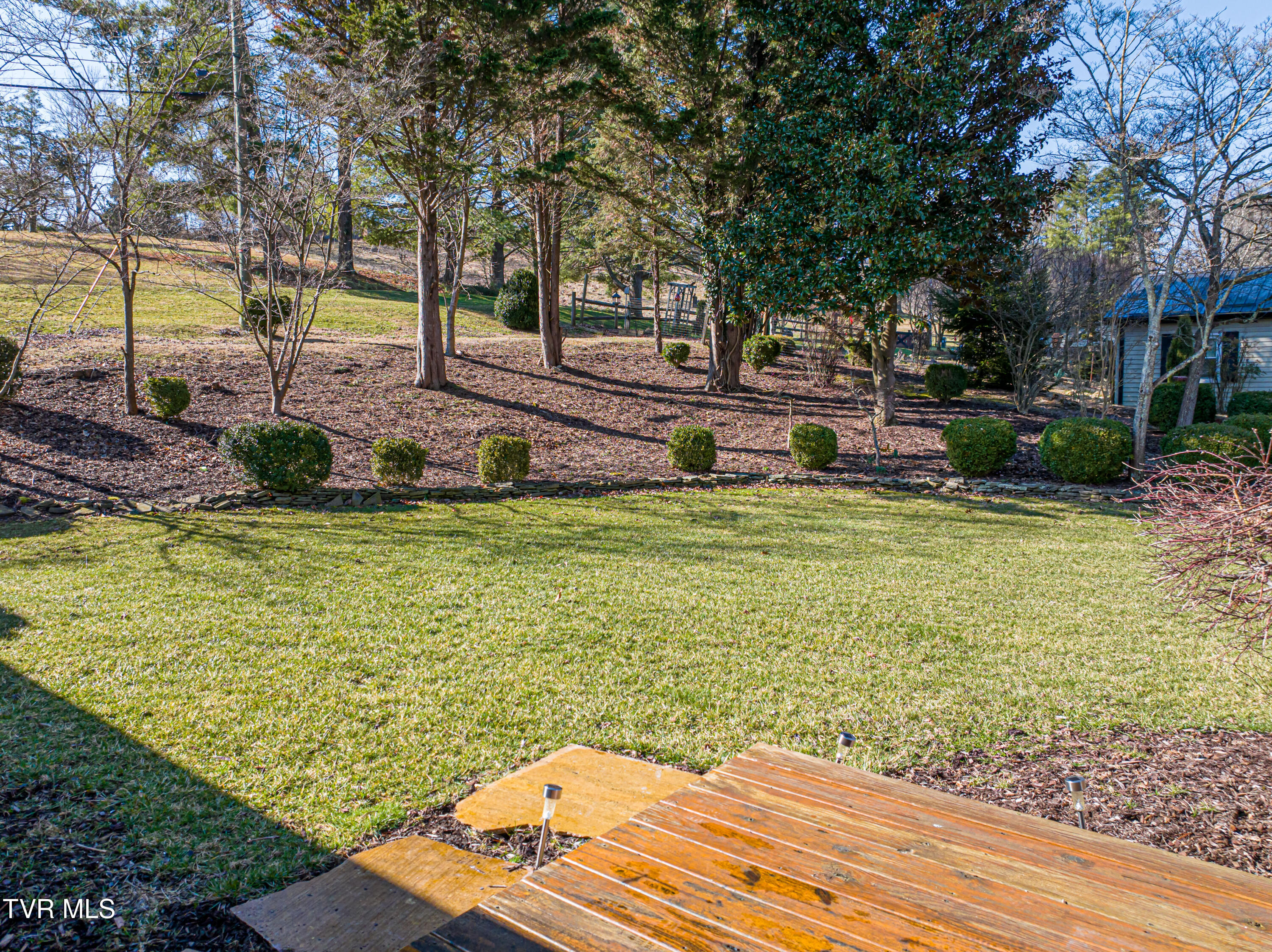 595 Court Street Northeast Abingdon, VA 24210 - Photo 9 of 46 Private Rear Yard