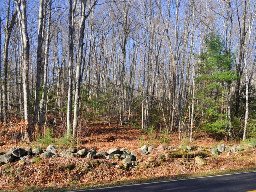 Lot 17 Bremen Road Waldoboro, ME 04572 - Photo 2 of 6 Photo