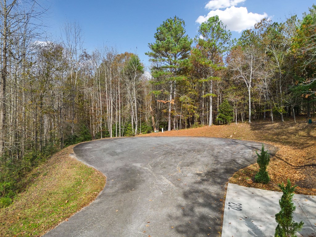 Lot 8 Highpoint Ridge Road Ellijay, GA 30536 - Photo 4 of 23 Gallery Image 4