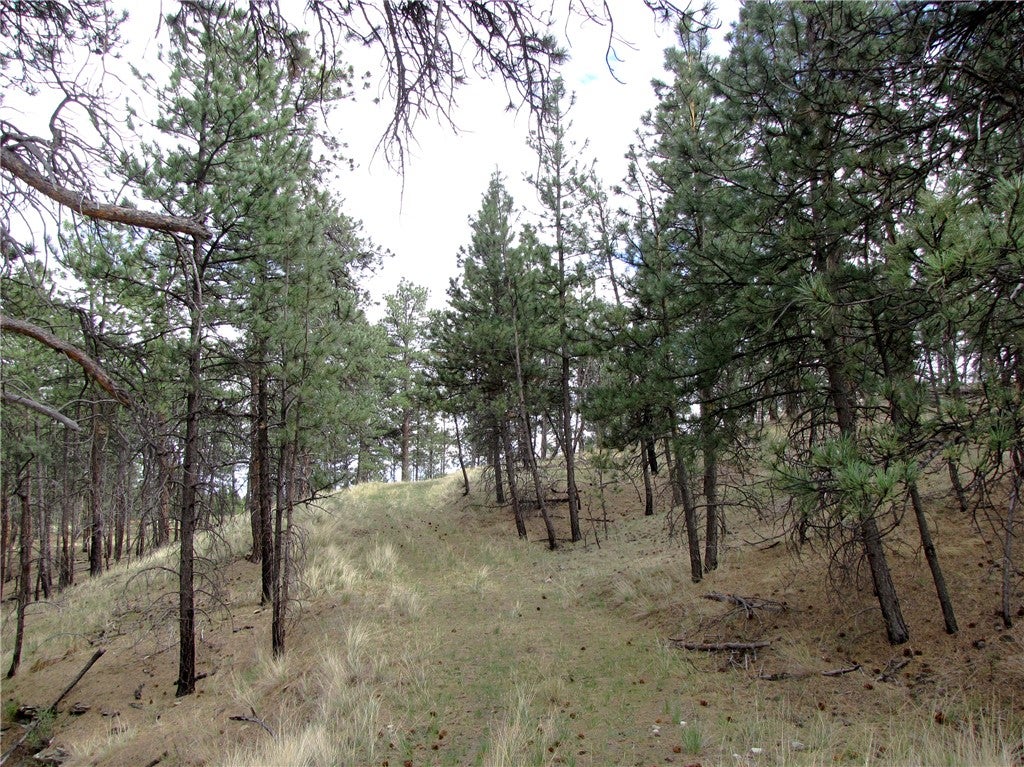 Nhn Nhn Wild Turkey Ridge Road Columbus, MT 59019 - Photo 21 of 47 Gallery Image 21