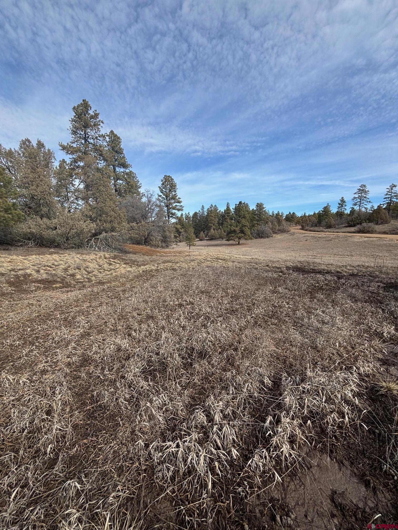 1046 Crooked Road Pagosa Springs, CO 81147 - Photo 1 of 17 a view of an outdoor space and a lake view