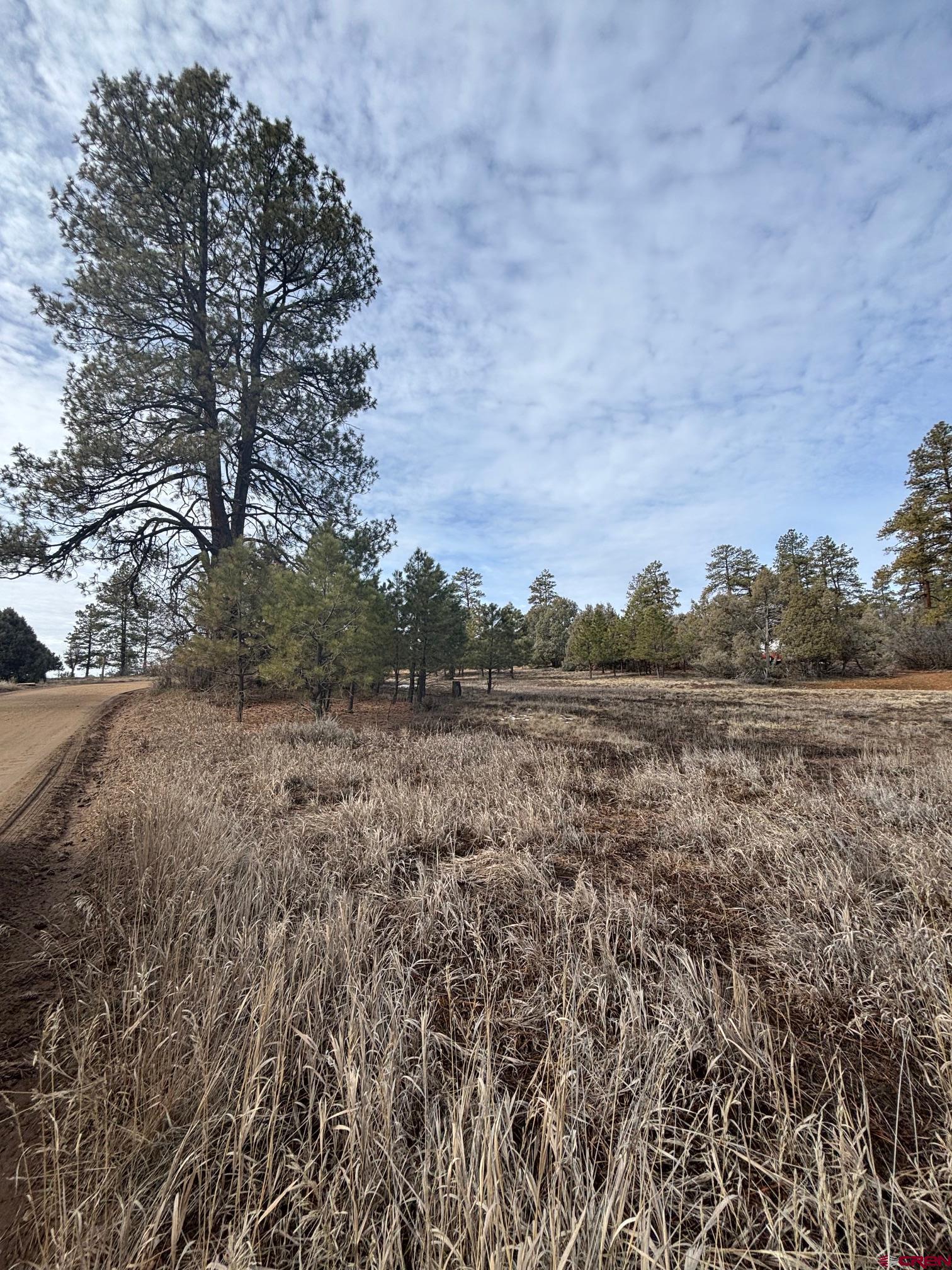 1046 Crooked Road Pagosa Springs, CO 81147 - Photo 12 of 17 a view of a field of grass and trees