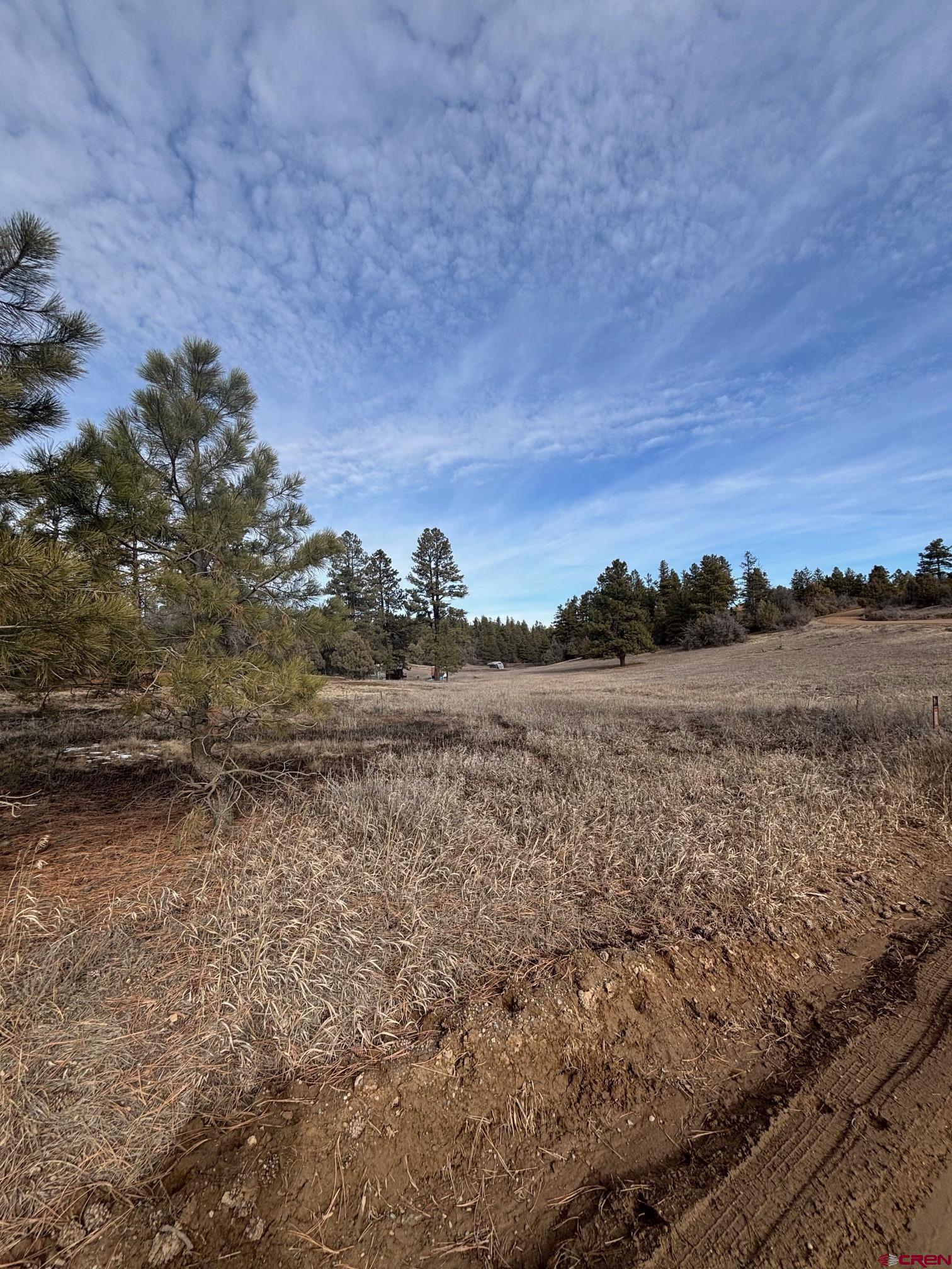 1046 Crooked Road Pagosa Springs, CO 81147 - Photo 13 of 17 a view of lake