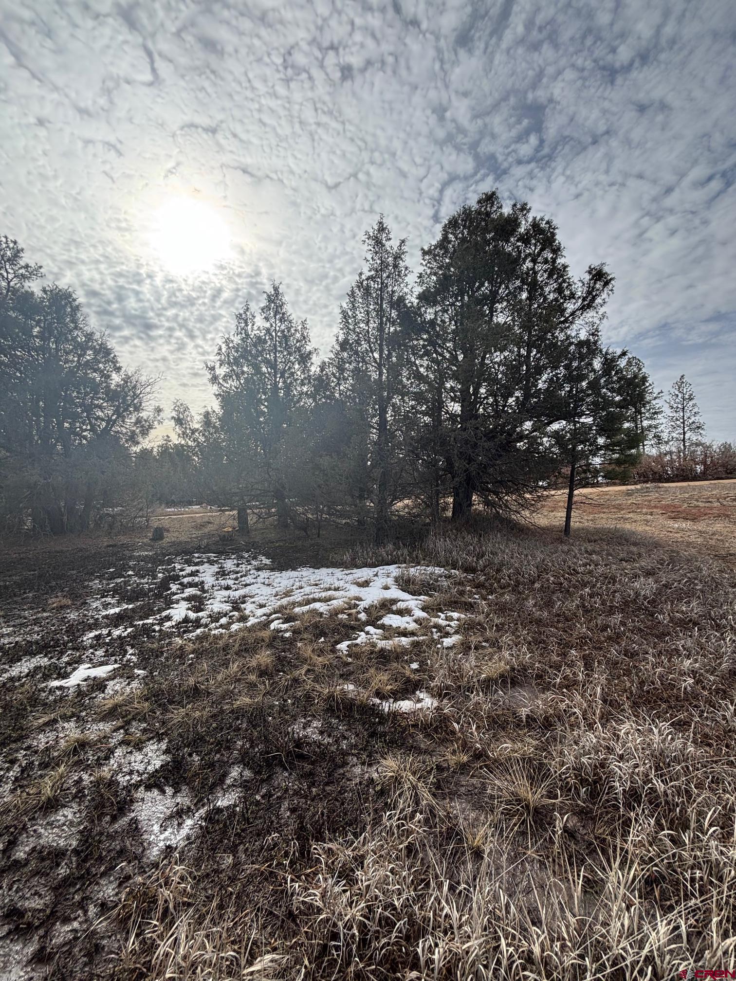 1046 Crooked Road Pagosa Springs, CO 81147 - Photo 16 of 17 a view of outdoor space and yard