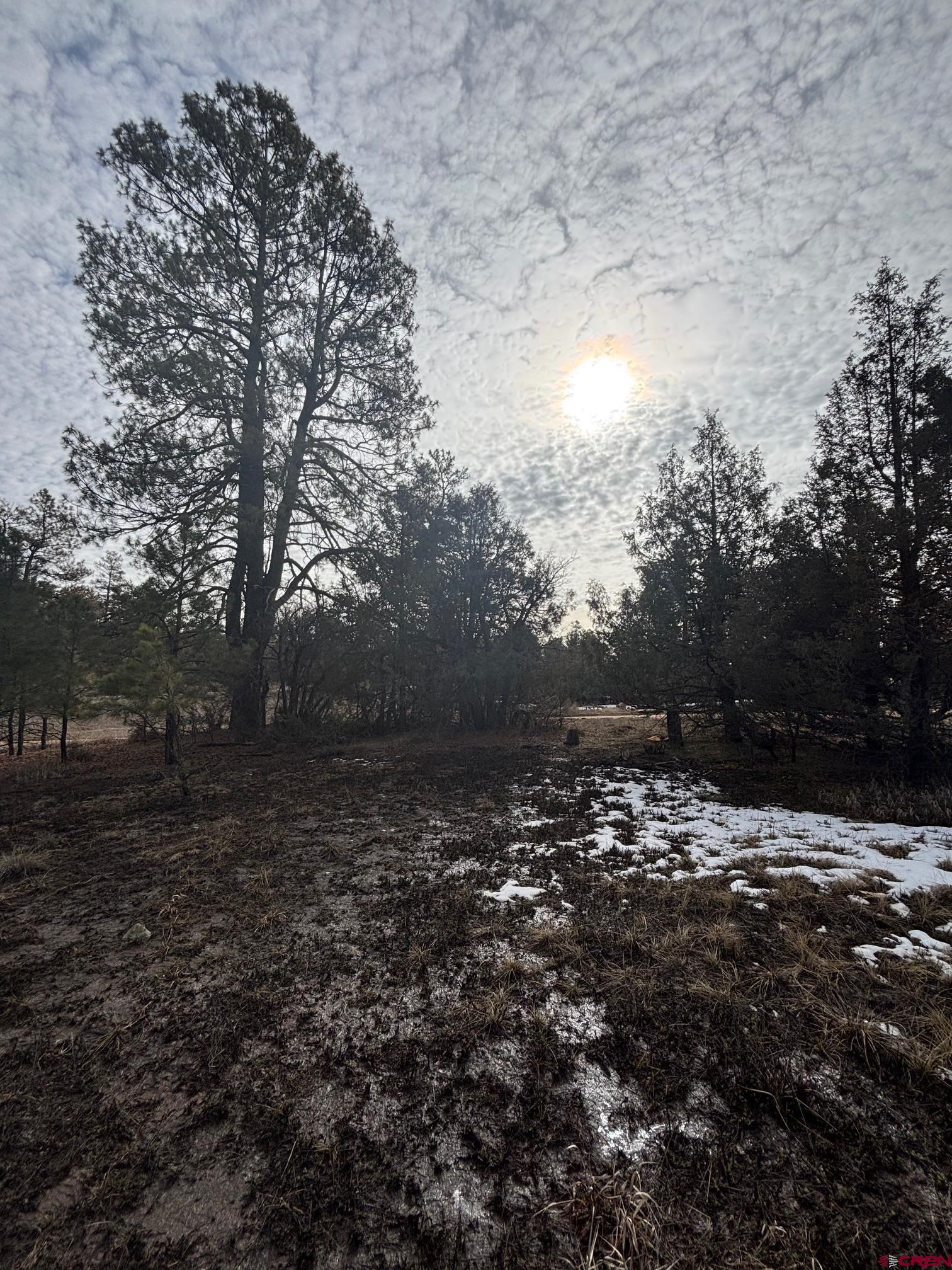 1046 Crooked Road Pagosa Springs, CO 81147 - Photo 17 of 17 a view of outdoor space and yard