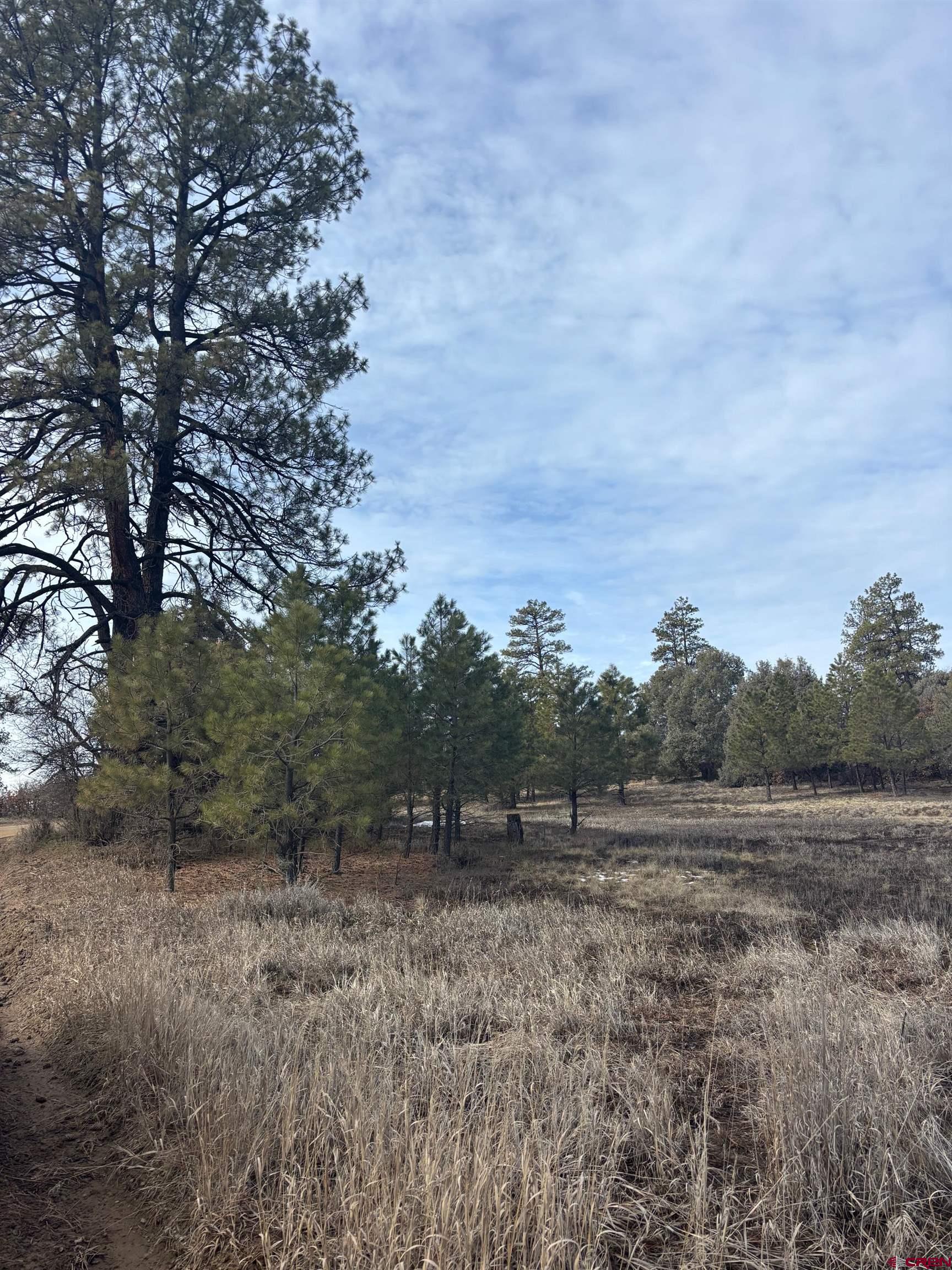 1046 Crooked Road Pagosa Springs, CO 81147 - Photo 2 of 17 a view of outdoor space with open and green space