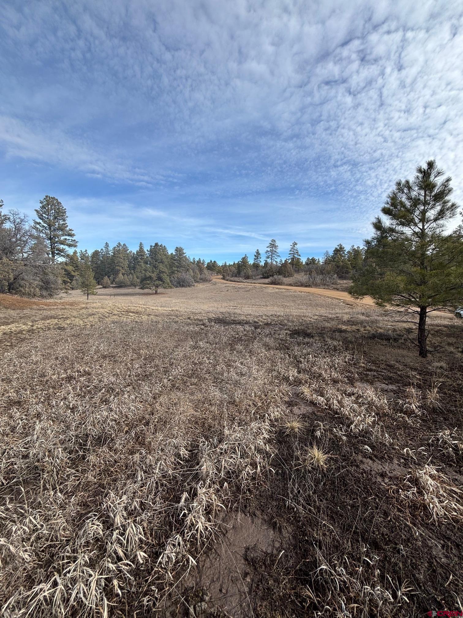 1046 Crooked Road Pagosa Springs, CO 81147 - Photo 3 of 17 a view of a field with an ocean