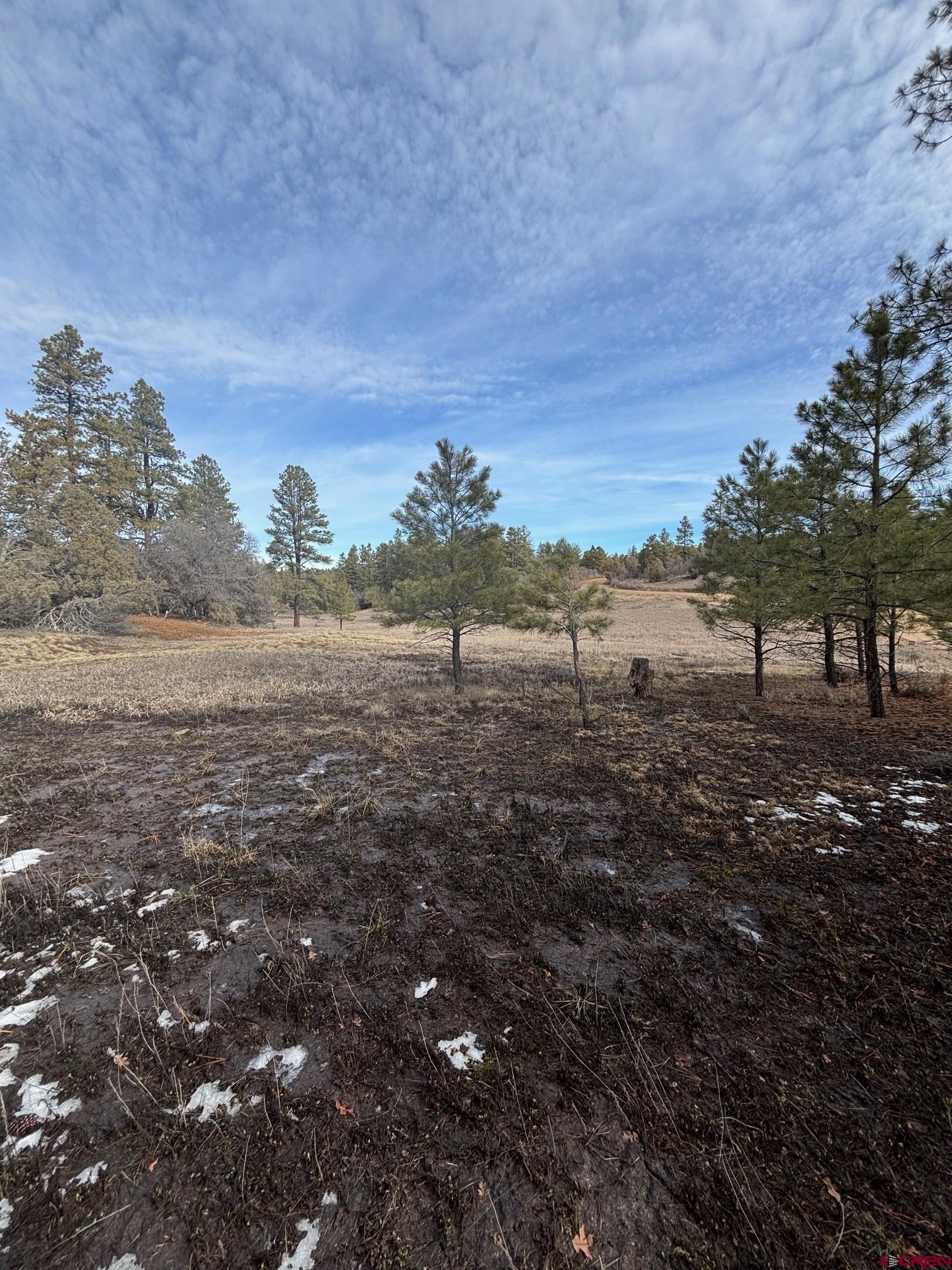 1046 Crooked Road Pagosa Springs, CO 81147 - Photo 4 of 17 a view of lake with mountain