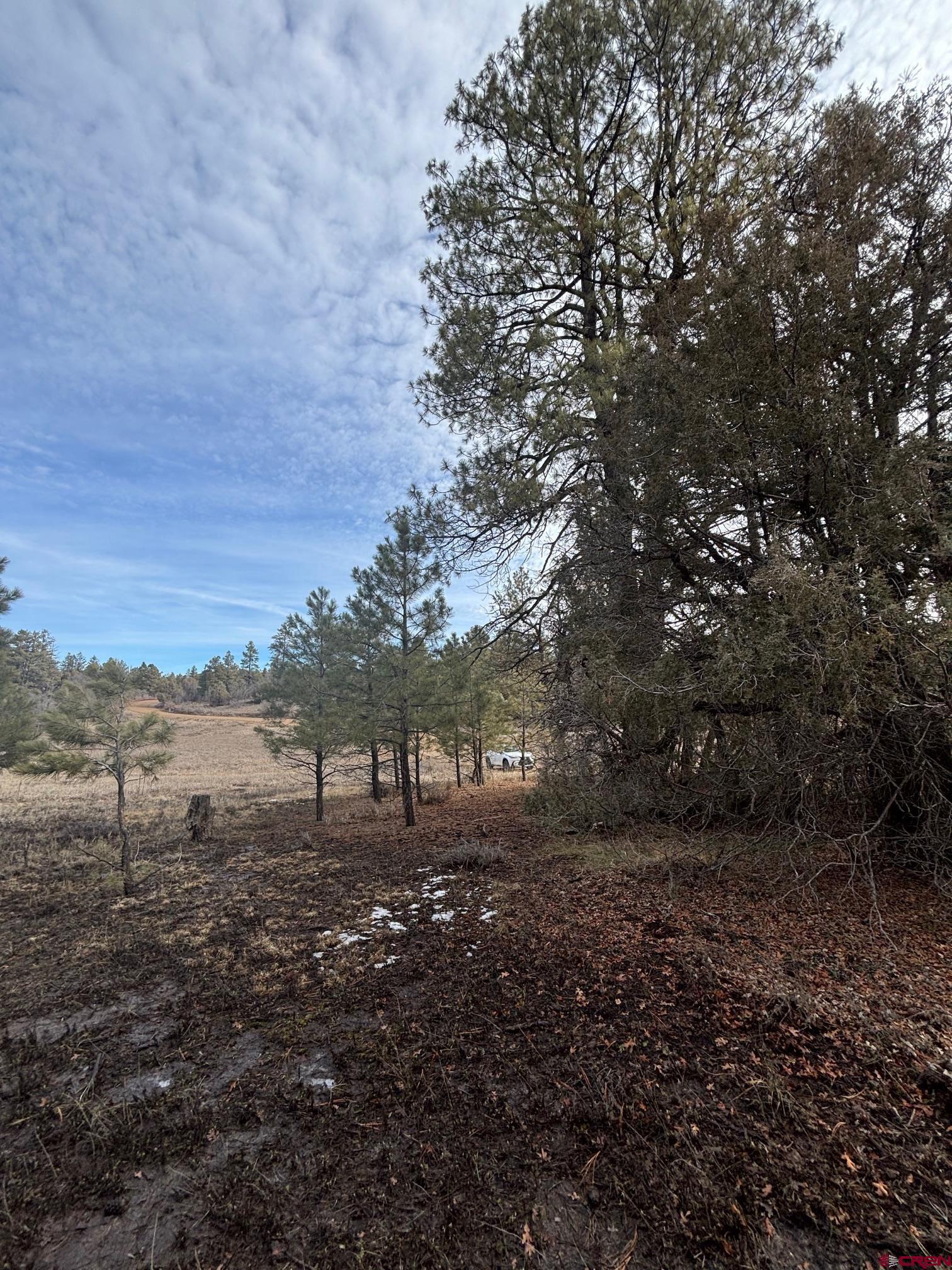 1046 Crooked Road Pagosa Springs, CO 81147 - Photo 6 of 17 a view of lake with tree in back