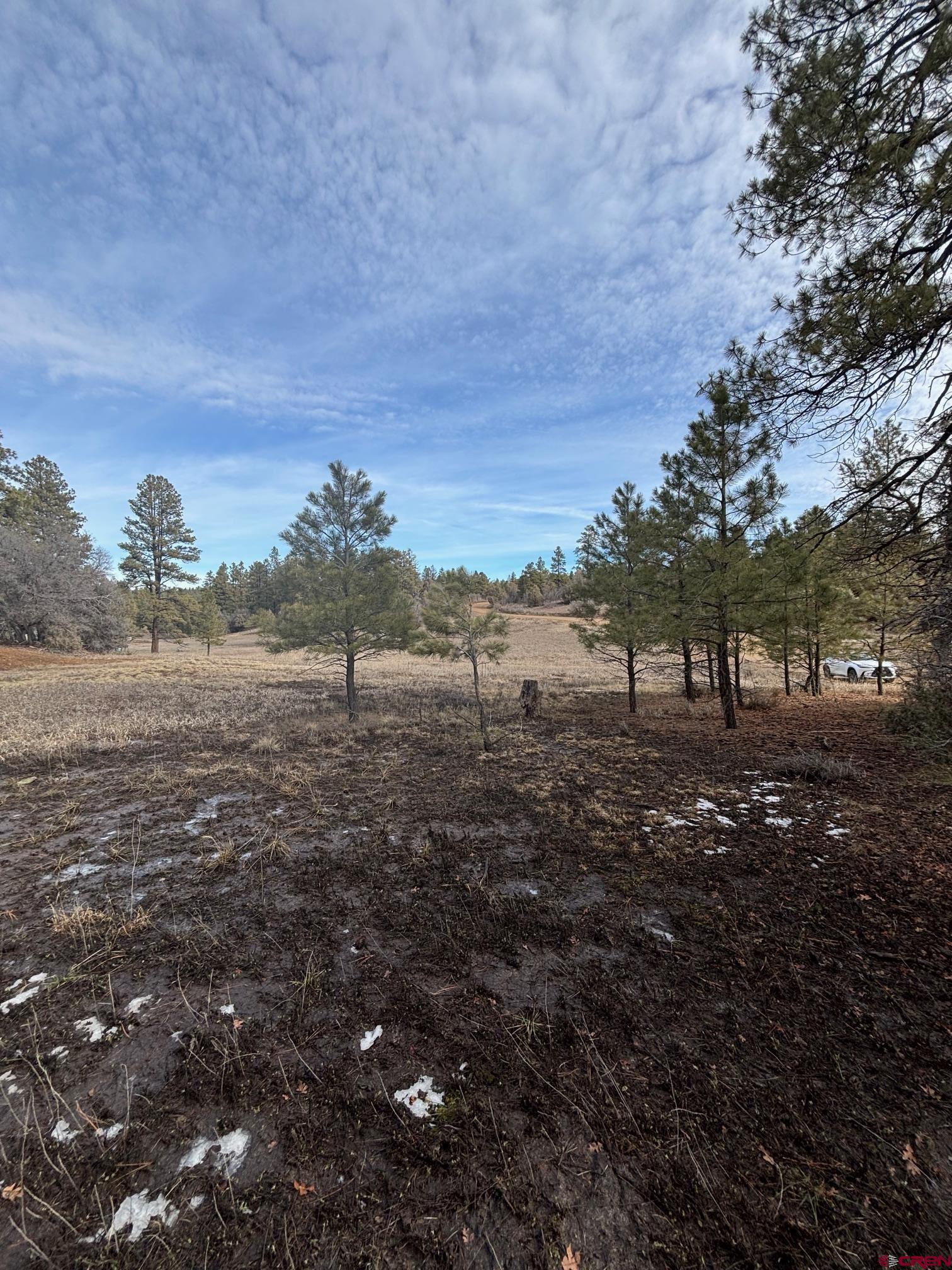 1046 Crooked Road Pagosa Springs, CO 81147 - Photo 10 of 17 a view of a field with lots of trees