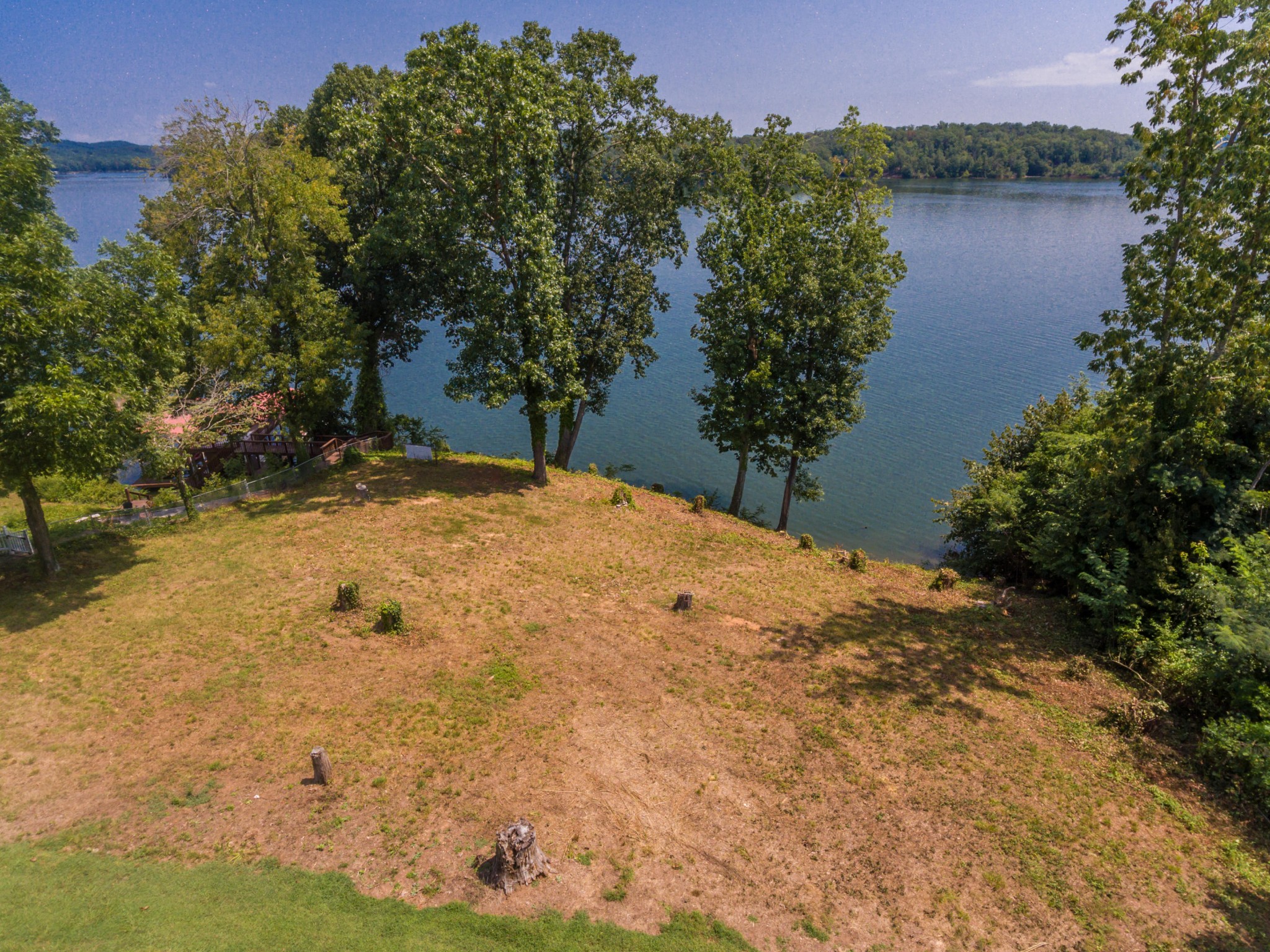 364 Hilltop Road Spring City, TN 37381 - Photo 17 of 18 a view of a yard with a tree