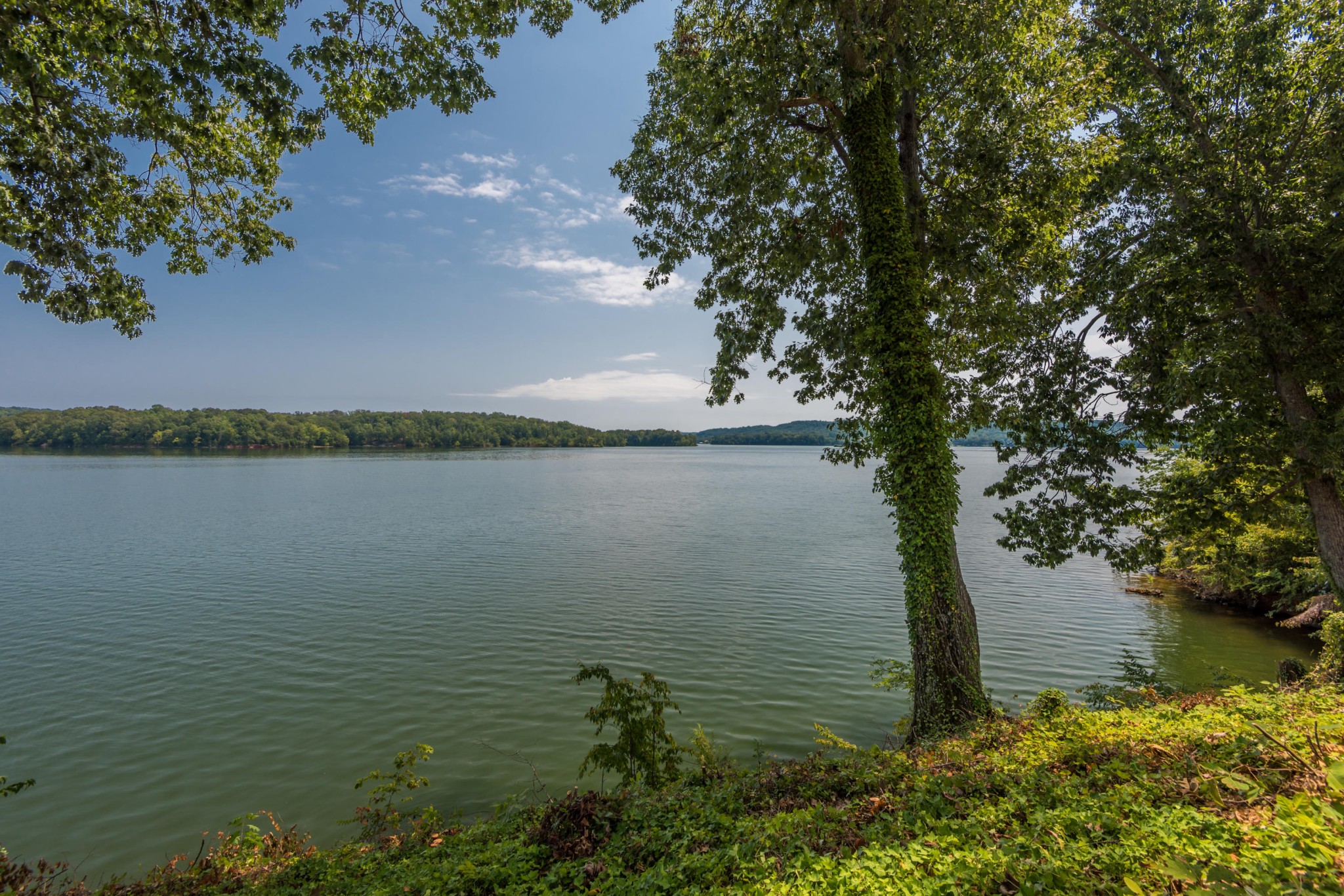 364 Hilltop Road Spring City, TN 37381 - Photo 2 of 18