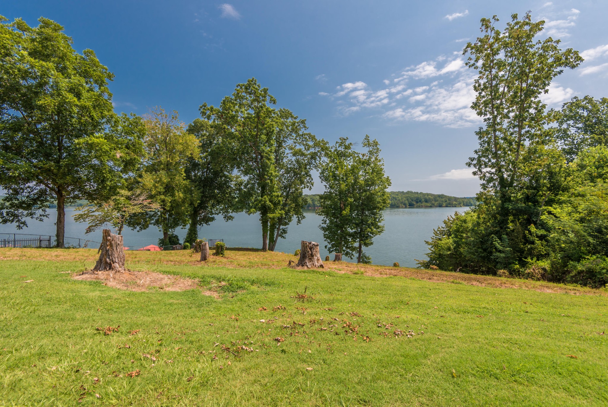 364 Hilltop Road Spring City, TN 37381 - Photo 4 of 18 a view of a backyard with tree s
