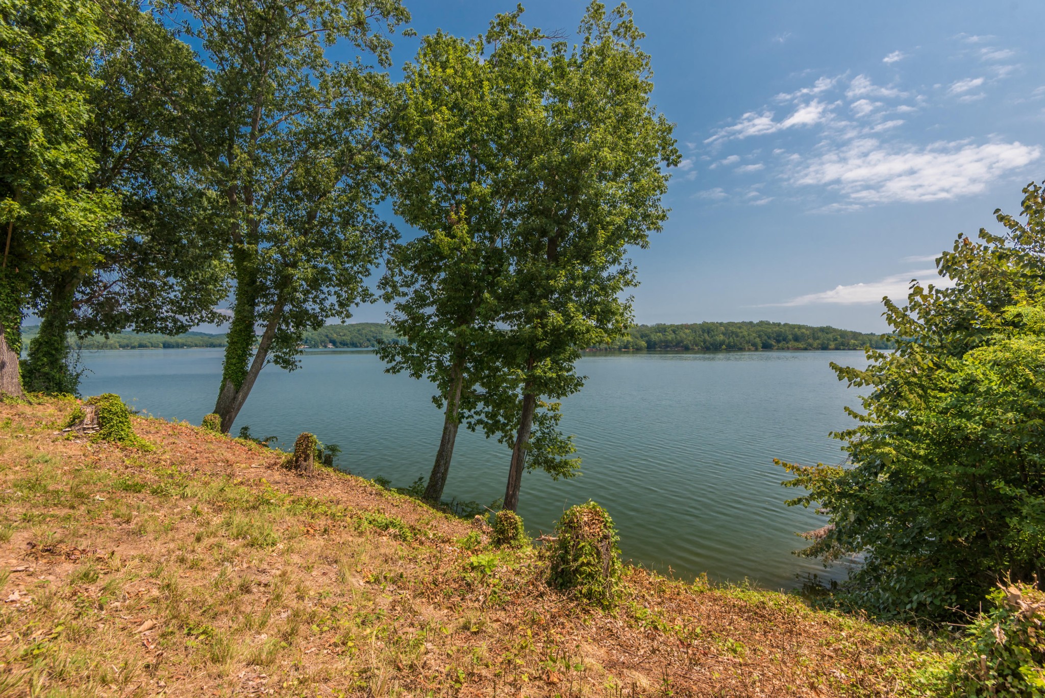 364 Hilltop Road Spring City, TN 37381 - Photo 9 of 18 a backyard of a house with lots of green space