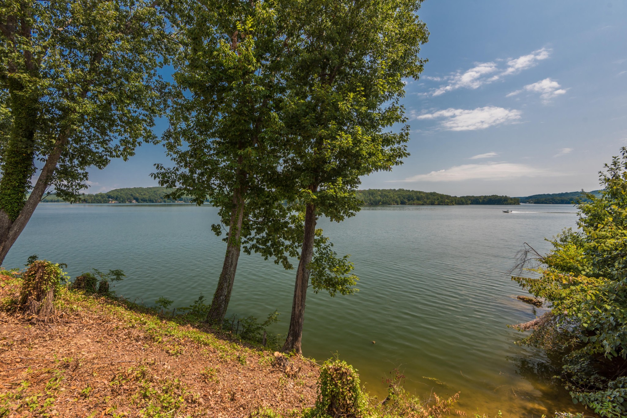 364 Hilltop Road Spring City, TN 37381 - Photo 10 of 18 a backyard of a house with lots of green space and lake view