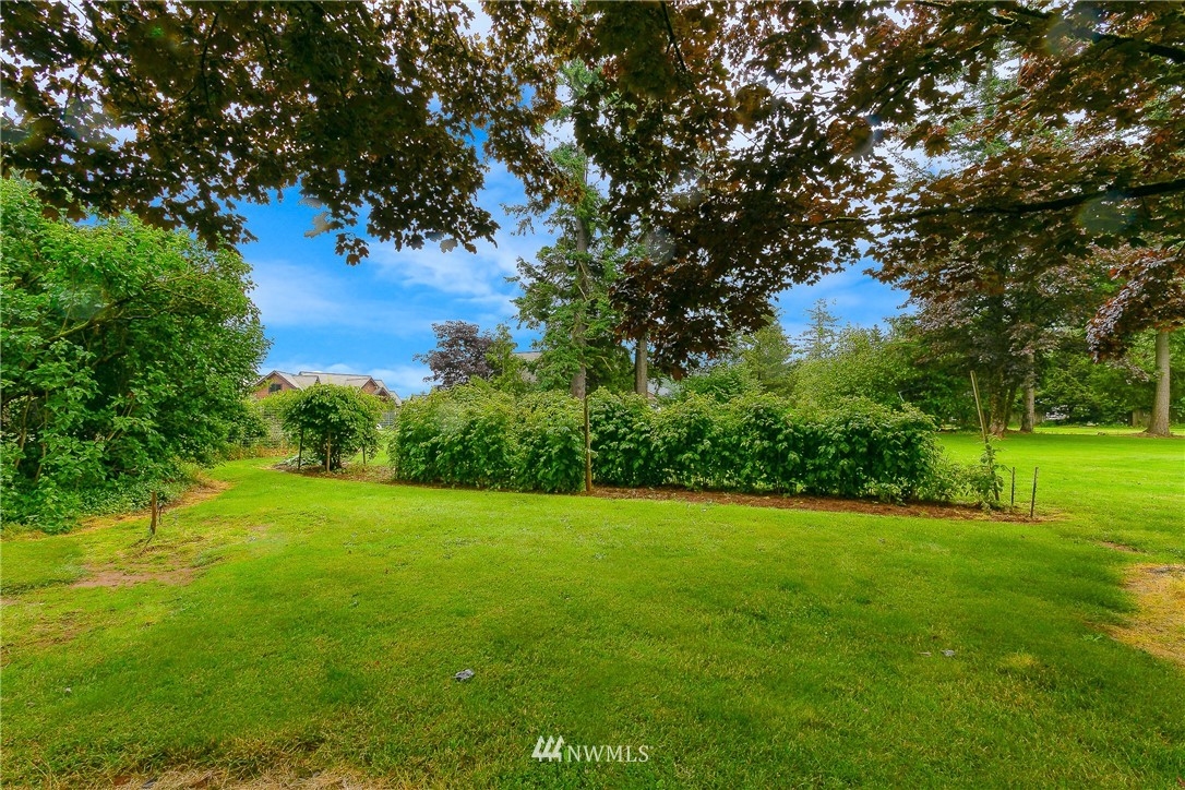 495 West Badger Road Lynden, WA 98264 - Photo 26 of 28 a view of a big yard with plants and large trees