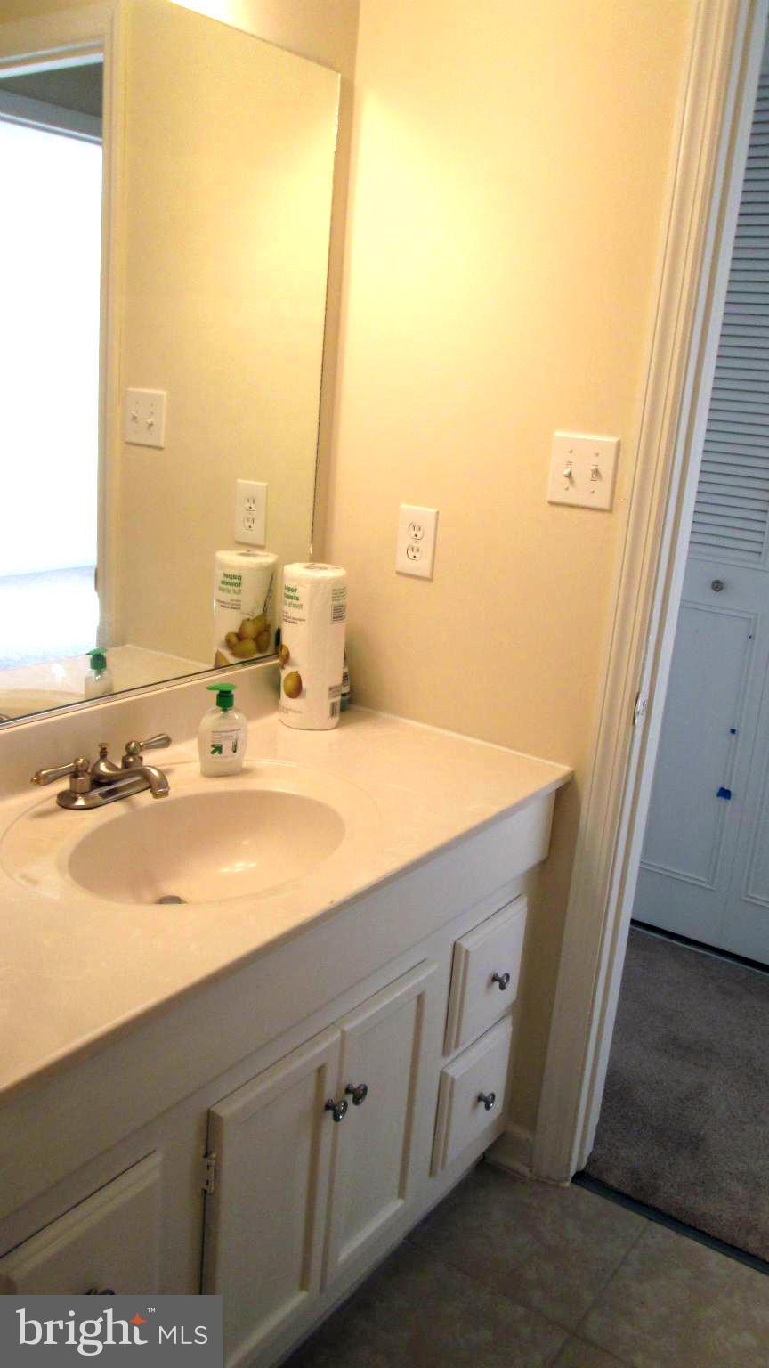 133 North Ithaca Road Sterling, VA 20164 - Photo 17 of 28 Bath (Master)