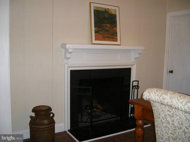 8200 New Bridge Road Denton, MD 21629 - Photo 9 of 13 Fireplace