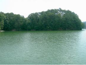 188 H R King Road, Unit 1 Johnson City, TN 37615 - Photo 4 of 5 Photo 4