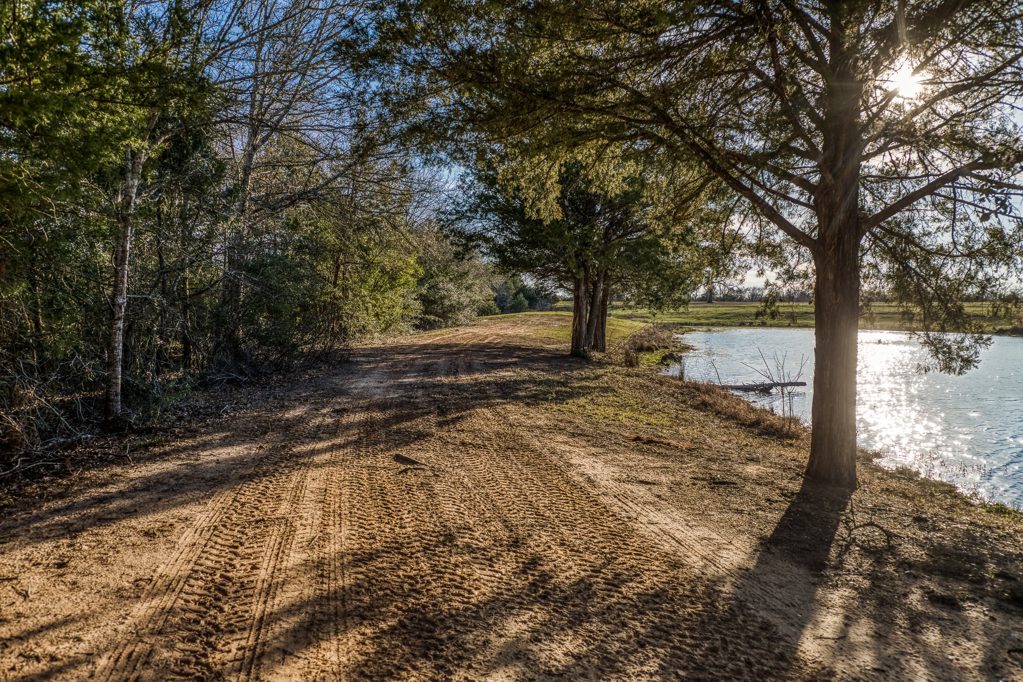 23032 Oak Road New Ulm, TX 78950 - Photo 25 of 44 a view of a yard with large trees