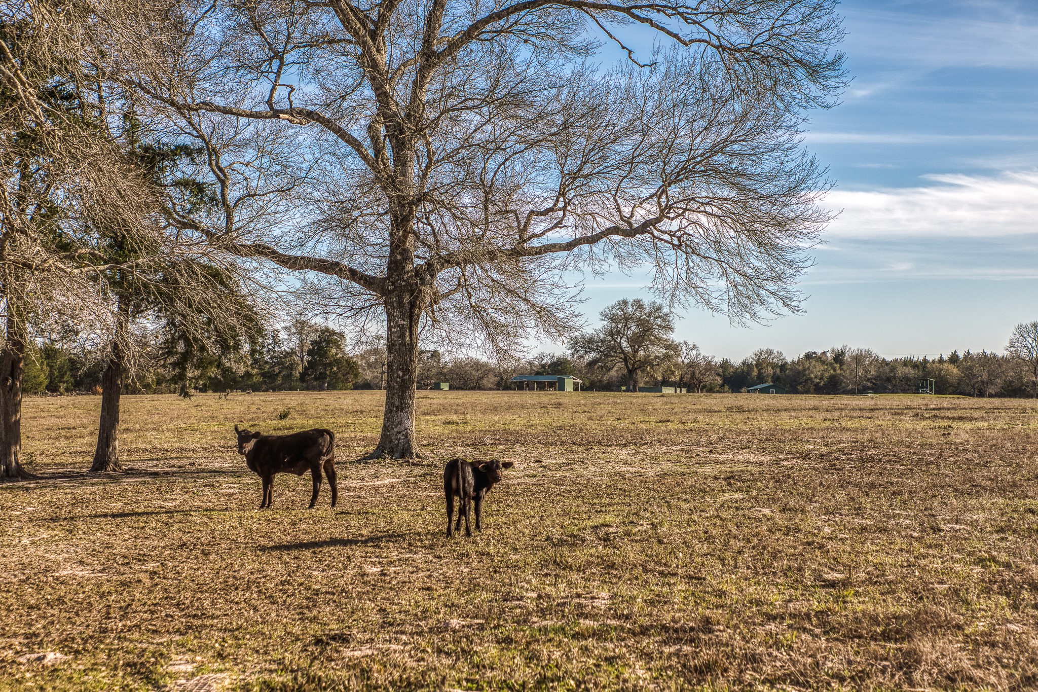 23032 Oak Road New Ulm, TX 78950 - Photo 38 of 44 a view of lake with mountain view