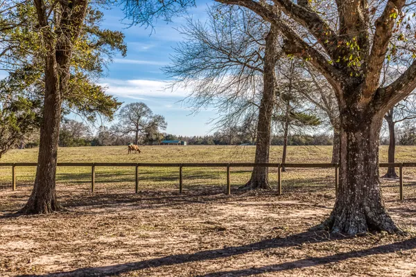 a view of dirt field with trees