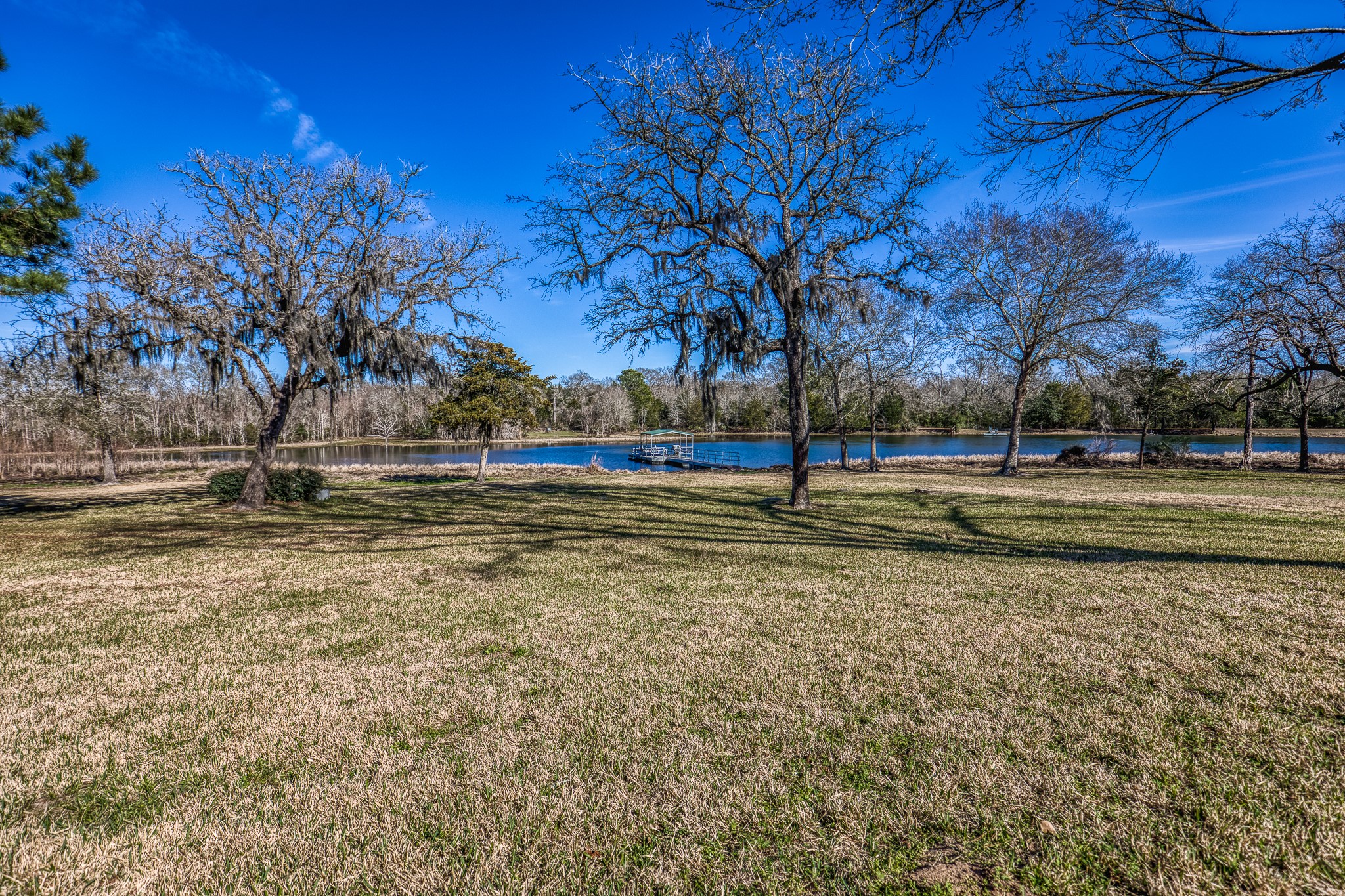 23032 Oak Road New Ulm, TX 78950 - Photo 41 of 44 a view of dirt field with trees