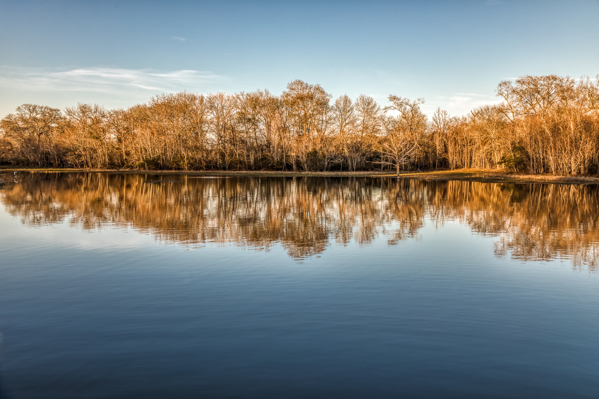 23032 Oak Road New Ulm, TX 78950 - Photo 42 of 44 a view of a lake