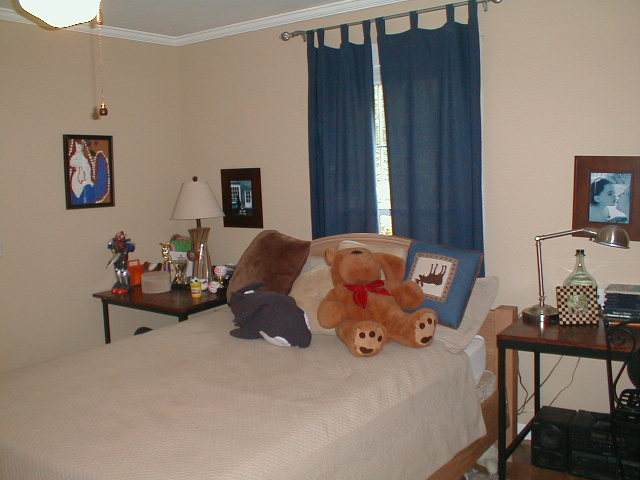 8 Courtney Street Pelzer, SC 29669 - Photo 8 of 8 Gallery Image 8