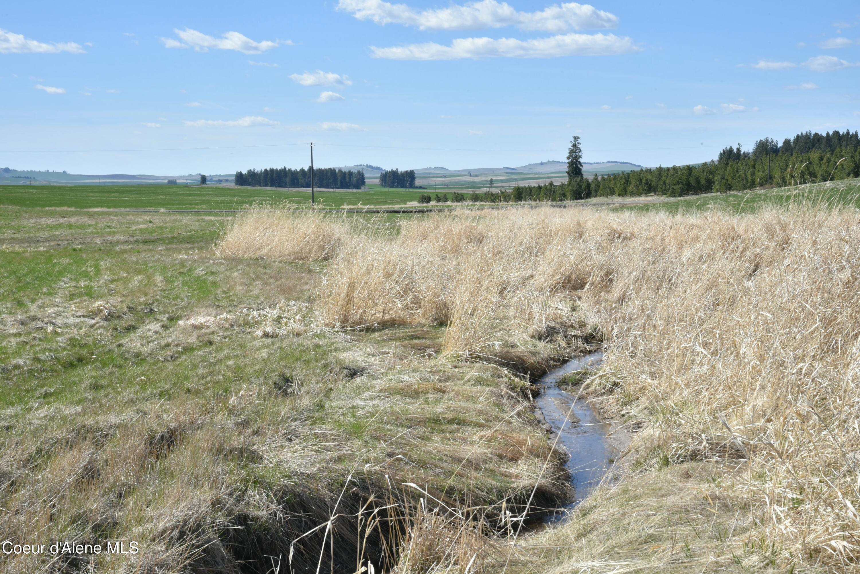 Lot 1 Mundt Road Plummer, ID 83851 - Photo 4 of 9 tempImagexWcG4y