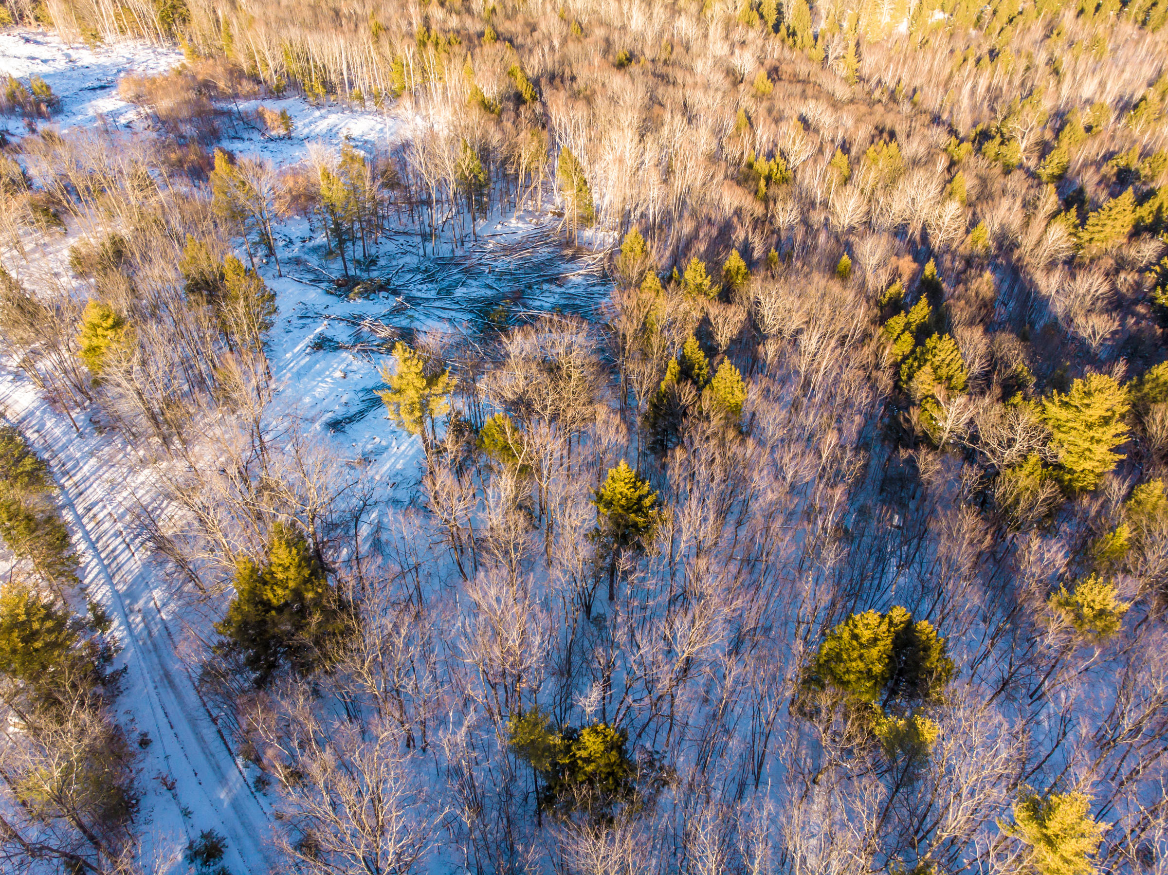 0 Highland Park Road Fryeburg, ME 04037 - Photo 25 of 31 DJI_0801