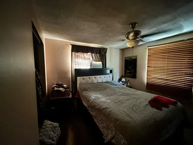 a view of a yard with plants and trees