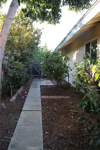 a view of a park with large trees