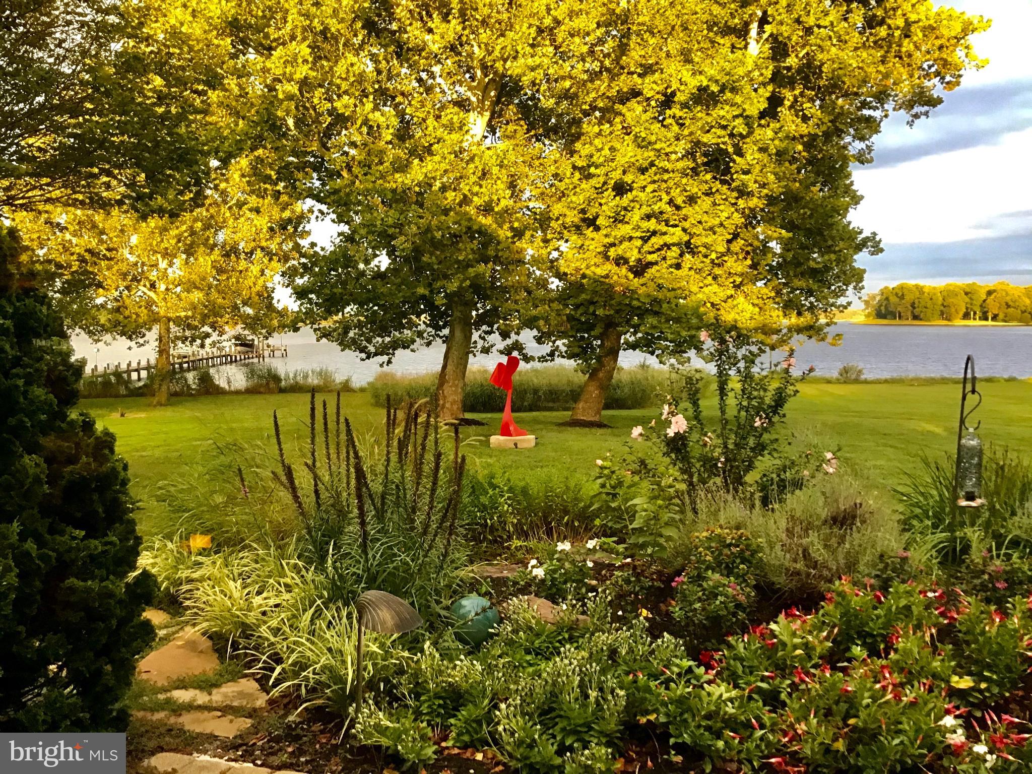 3207 Bennett Point Road Queenstown, MD 21658 - Photo 68 of 69 a view of a lake with a garden