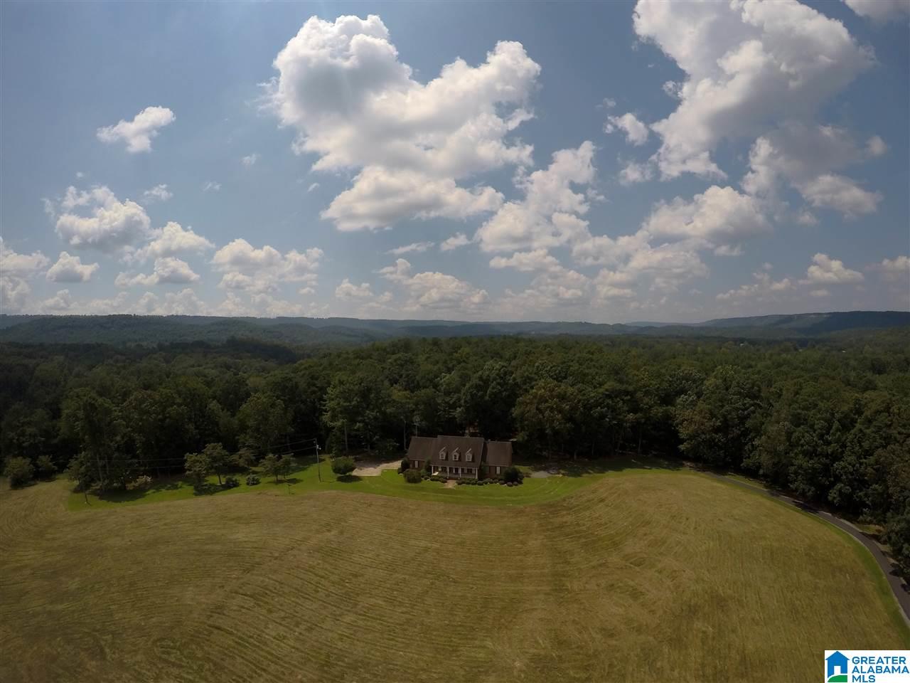 171 Tumlin Gap Road Gallant, AL 35972 - Photo 6 of 29 Gallery Image 6