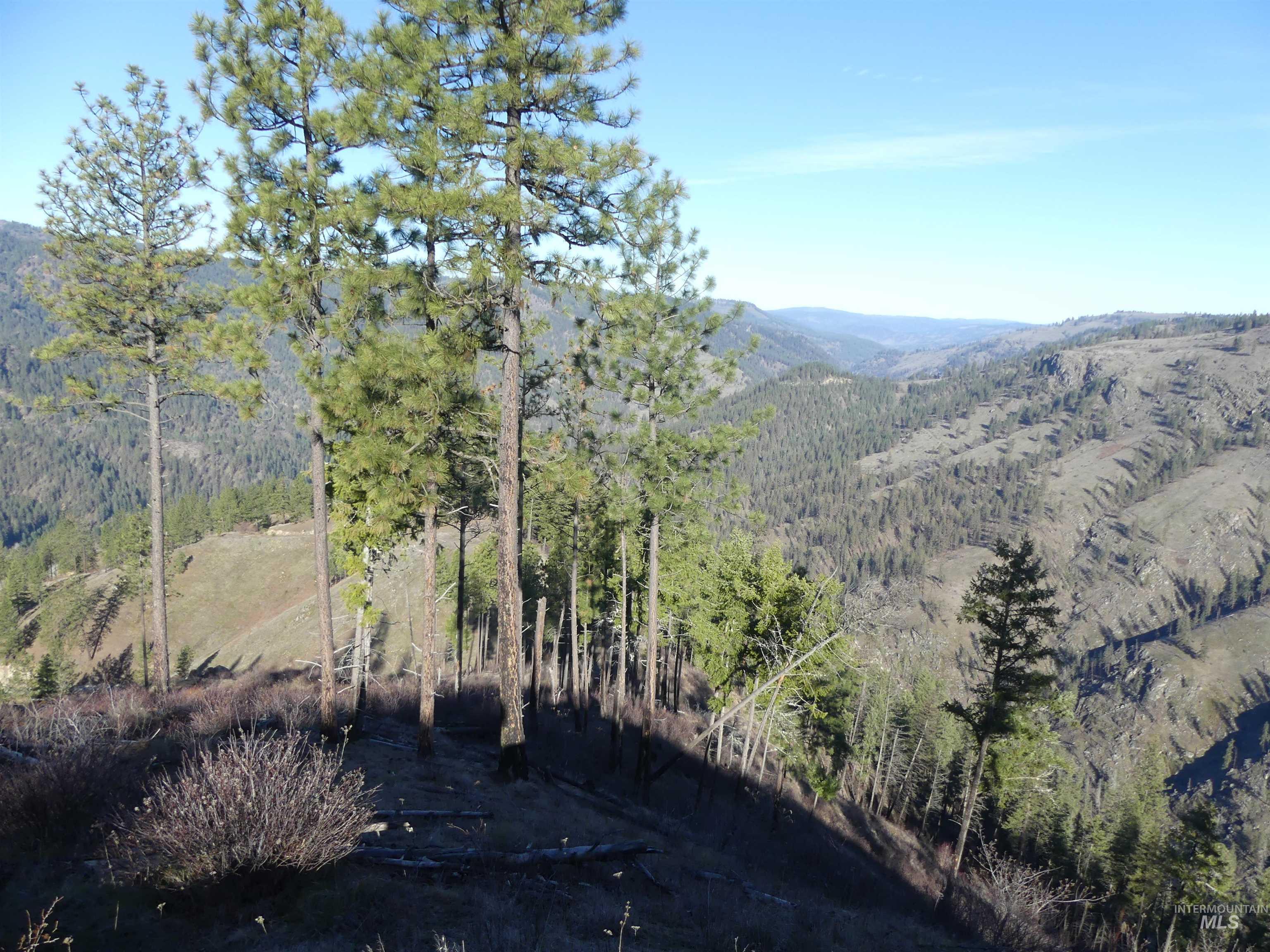 1408 Carrot Ridge Road Kamiah, ID 83536 - Photo 24 of 48